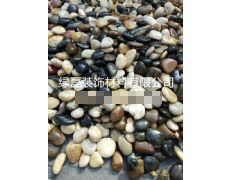2-4cm